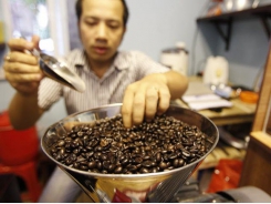 Asia Coffee-Vietnam's coffee unharmed from storm; supplies tighten in Indonesida