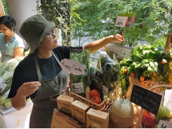 Organic farmers begin to reap the fruits of their work