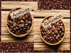 Vietnam becomes Japan’s leading coffee supplier