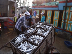 Seafood exports recover to pre-pandemic levels