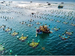 Project on marine aquaculture development till 2030 approved