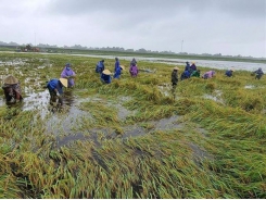 Boosting coverage of agricultural insurance