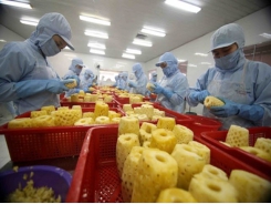 EU remains promising market for Vietnamese fruit