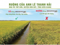 Giải pháp chống đổ ngã tối ưu, an toàn cho đất và cây trồng
