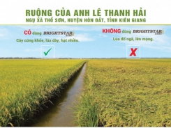 Giải pháp chống đổ ngã tối ưu, an toàn cho đất và cây trồng