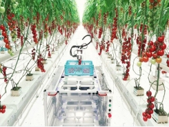 Vietnam - Japan sharing new agricultural development technologies