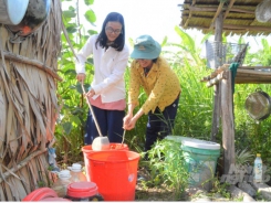 Tự nhân vi sinh vật bản địa làm chế phẩm để nuôi tôm ở Kiên Giang
