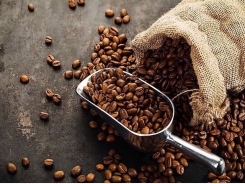 Vietnam the world's second-largest coffee producer