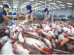 Vietnamese seafood promotion in Saudi Arabia