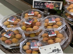 Vietnam’s litchis, longan sell at high prices overseas