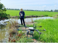 Khi nông dân trồng lúa bằng smartphone