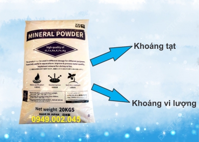 Mineral Powder - Khoáng tạt Nhật cho thủy sản