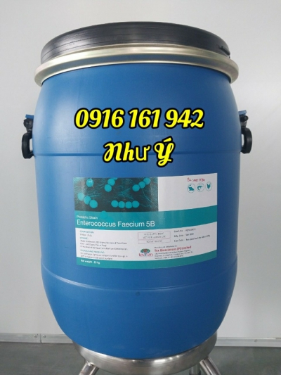 ENTEROCOCCUS FAECIUM 5 tỷ vi sinh cân bằng pH đường ruột tôm, ngăn ngừa vi khuẩn gây bệnh