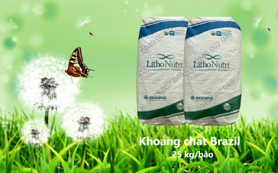 LITHONUTRI - Bổ sung khoáng chất cần thiết cho tôm cá