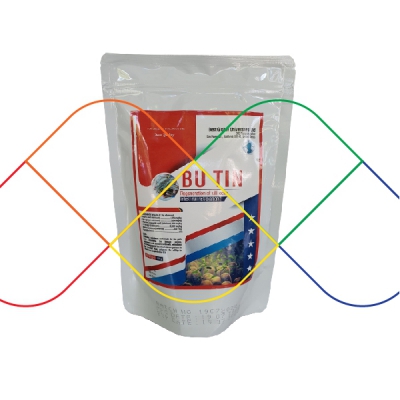 Butin-Siêu men sống