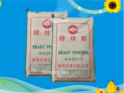 Yeast Powder - Đạm dinh dưỡng nong to đường ruột tôm