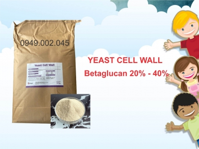 Yeast Cell Wall - Tăng cường miễn dịch, nâng cao sức đề kháng tôm cá