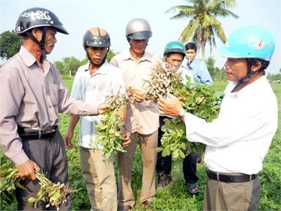 Gieo Giống Tốt, Gặt Mùa Vui