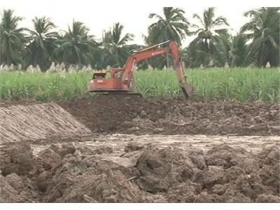Cảnh Báo Phong Trào Nuôi Tôm Tự Phát