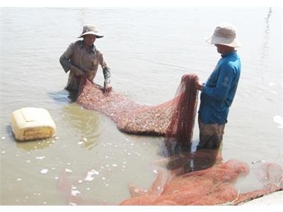 Bến Tre Niềm Vui Quê Biển