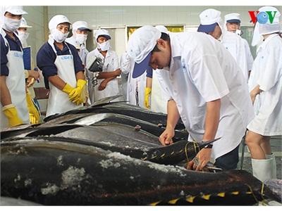 Cá Ngừ Đại Dương Việt Nam Xâm Nhập Thị Trường Nhật Bản