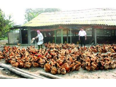 Những Con Số Biết Nói
