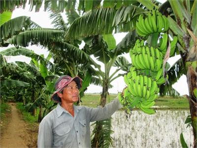 Thắng Lợi Trong Gian Khó