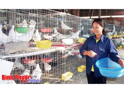 Diện Tích Nhỏ Hiệu Quả Lớn