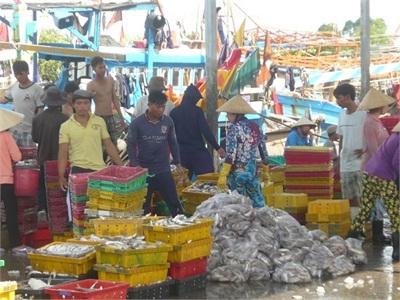 Trà Vinh Khai Thác Và Nuôi Trồng Thủy Sản Tiếp Tục Phát Triển Ổn Định