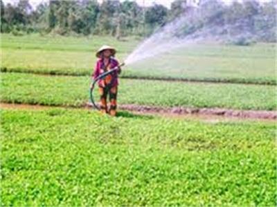Báo Động Việc Lạm Dụng Thuốc Bảo Vệ Thực Vật