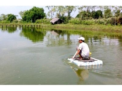 Tích Luỹ Kỹ Thuật Để Làm Giàu