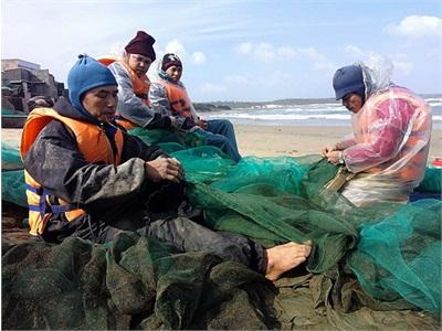 Ngư Dân Cát Tiến (Phù Cát) Trúng Đậm Tôm Hùm Giống