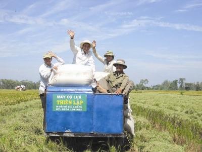 Đồng Tháp làm hợp tác xã kiểu mới