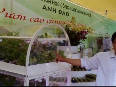 Thành Phố Hồ Chí Minh đặt hàng doanh nghiệp trồng rau công nghệ cao
