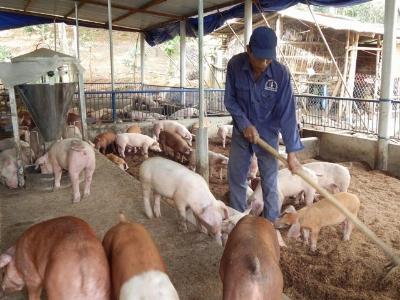 Nông nghiệp sẽ ăn nên, làm ra