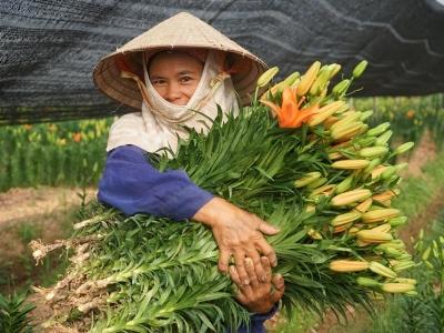 Nông nghiệp Việt Nam 2016 - Doanh nhân hóa nông dân