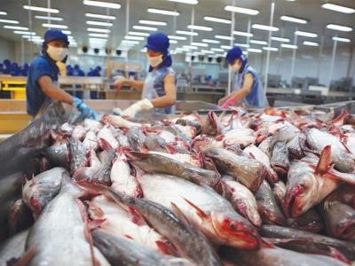 Nông sản Việt nhiều cơ hội ở TPP