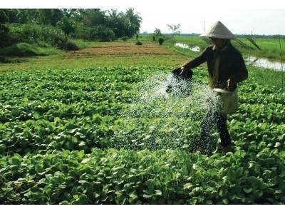 Xây dựng nông thôn mới từ góc nhìn kinh tế