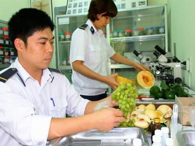 Sẽ thanh tra xử lý dứt điểm kháng sinh cấm