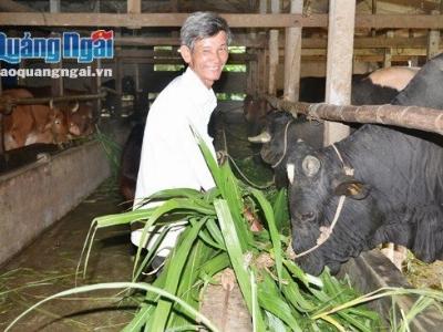 Tỷ phú nuôi bò thay chòi 6 tấm tôn thành căn biệt thự tiền tỷ