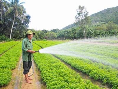 Khánh Hòa có hơn 5.000 hộ vay vốn Quỹ Hỗ trợ nông dân