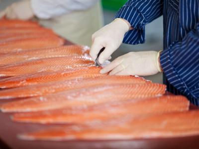 Russia to Further Cut Fish Imports With New Crimean Processing Plant