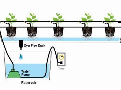 Completely Passive, Non-Recirculating Hydroponic Systems some Tips for Large Plants