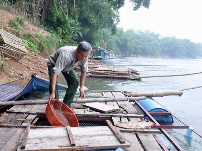 Yên Nguyên phát triển nghề nuôi cá lồng đặc sản