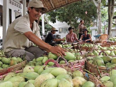 Loay hoay xác định nông sản chủ lực: Không lo được đầu ra sản phẩm