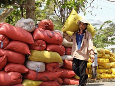 Loay hoay xác định nông sản chủ lực: Mỗi tỉnh chọn một “món”
