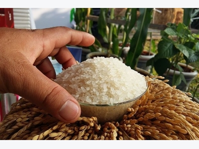 Vietnam to attend Indonesia rice tender