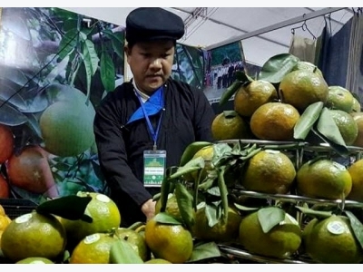 Agriculture makes up exports imprints in 2017