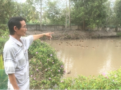 Từ 3 con le le hoang dã, sau 12 năm gây nuôi, thu gần 1 tỷ đồng/năm
