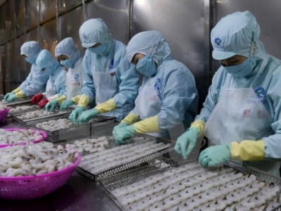 Vietnams aquatic export forecast to top $8.5 bln in 2018